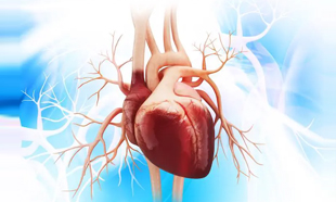 ?php echo $row['sub_cat_1_name'] ?? ''; ?