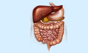 ?php echo $row['sub_cat_1_name'] ?? ''; ?