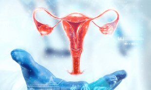 ?php echo $row['sub_cat_1_name'] ?? ''; ?