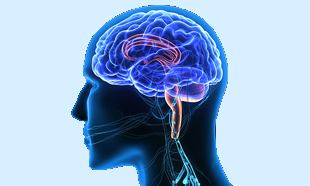 ?php echo $row['sub_cat_1_name'] ?? ''; ?